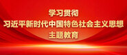 美女吃鸡鸡反被操逼学习贯彻习近平新时代中国特色社会主义思想主题教育_fororder_ad-371X160(2)